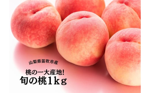 【2026年発送★先行予約】桃の一大産地！笛吹市産旬の桃約1kg 167-164-26y
