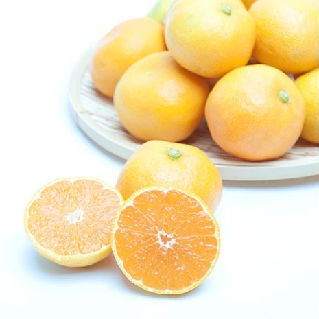 厳選 ハウスみかん2.5kg+250g（傷み補償分）