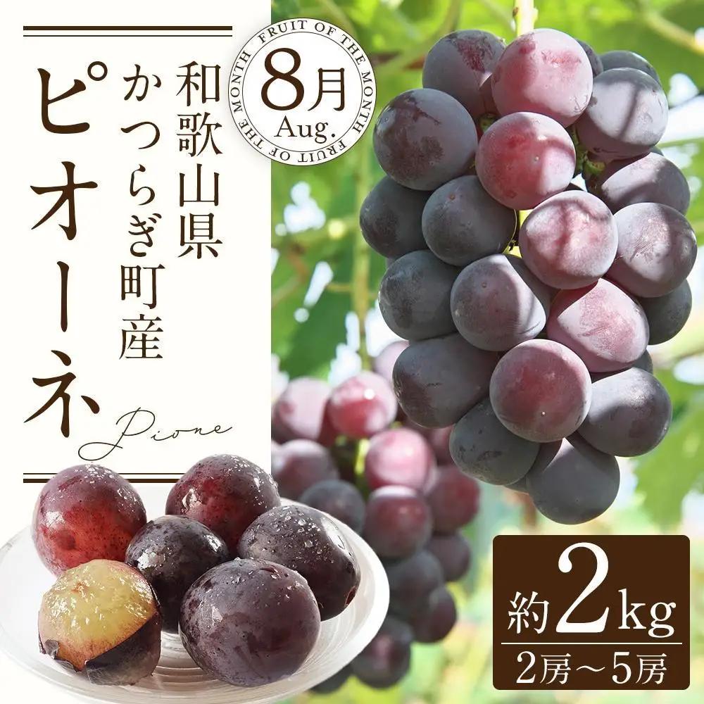 定期便全3回 和歌山の人気の夏のフルーツをお届け！ ［TM204］