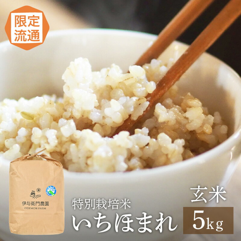 【ふるさと納税】【令和6年産】限定流通 伊与衛門農園 特別栽培 いちほまれ 玄米 5kg ／ 米 kome お米 こめ 農薬不使用 高品質 鮮度抜群 福井県 あわら市熊坂産 ブランド米 玄米