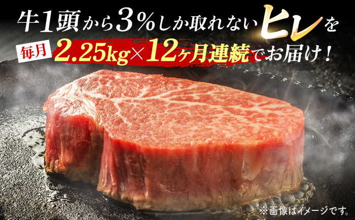 【12回定期便】長崎和牛 ヒレステーキ 計2.25kg（15枚）＜株式会社黒牛＞ [CBA013]