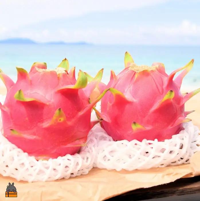 ～ルビーの輝き～プレミアムドラゴンフルーツ“徳之島宝赤（ほうせき）”（1kg～1.5kg）（ ドラゴンフルーツ 果物 フルーツ 徳之島 奄美 ）