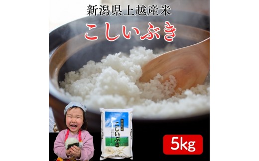 
                  令和8年産 先行予約 新潟県上越市産 こしいぶき 5kg 5キロ 新米 精米 米 新潟県産 限定 おすすめ 米ヴィレッジさんわ
                