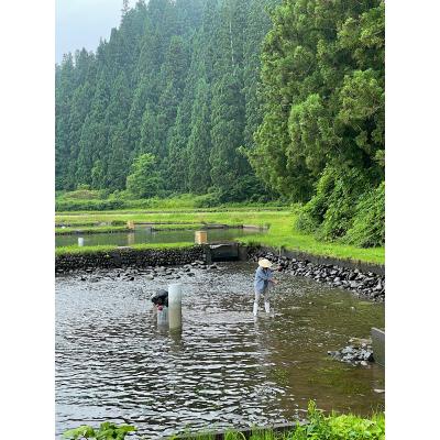 ふるさと納税 湯沢市 全国の酒飲み悶絶の味!高級珍味《こまち鮎》うるか[B12-4201] |  | 01