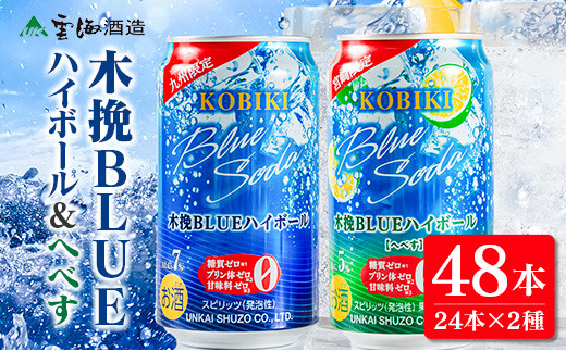 
            【雲海酒造】木挽BLUE ハイボール2種セット 350ml×48本（木挽ブルー）
          