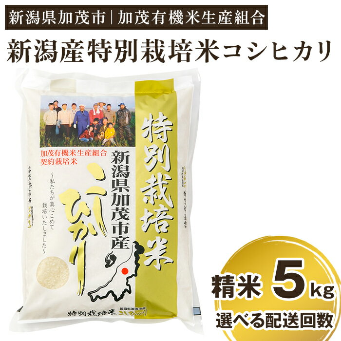【ふるさと納税】【令和7年産新米先行予約】 新潟県加茂市産 特別栽培米コシヒカリ 精米5kg 選べる配送回数（通常配送1回〜定期便12回） 《10月中旬から順次出荷》 白米 従来品種コシヒカリ 加茂有機米生産組合