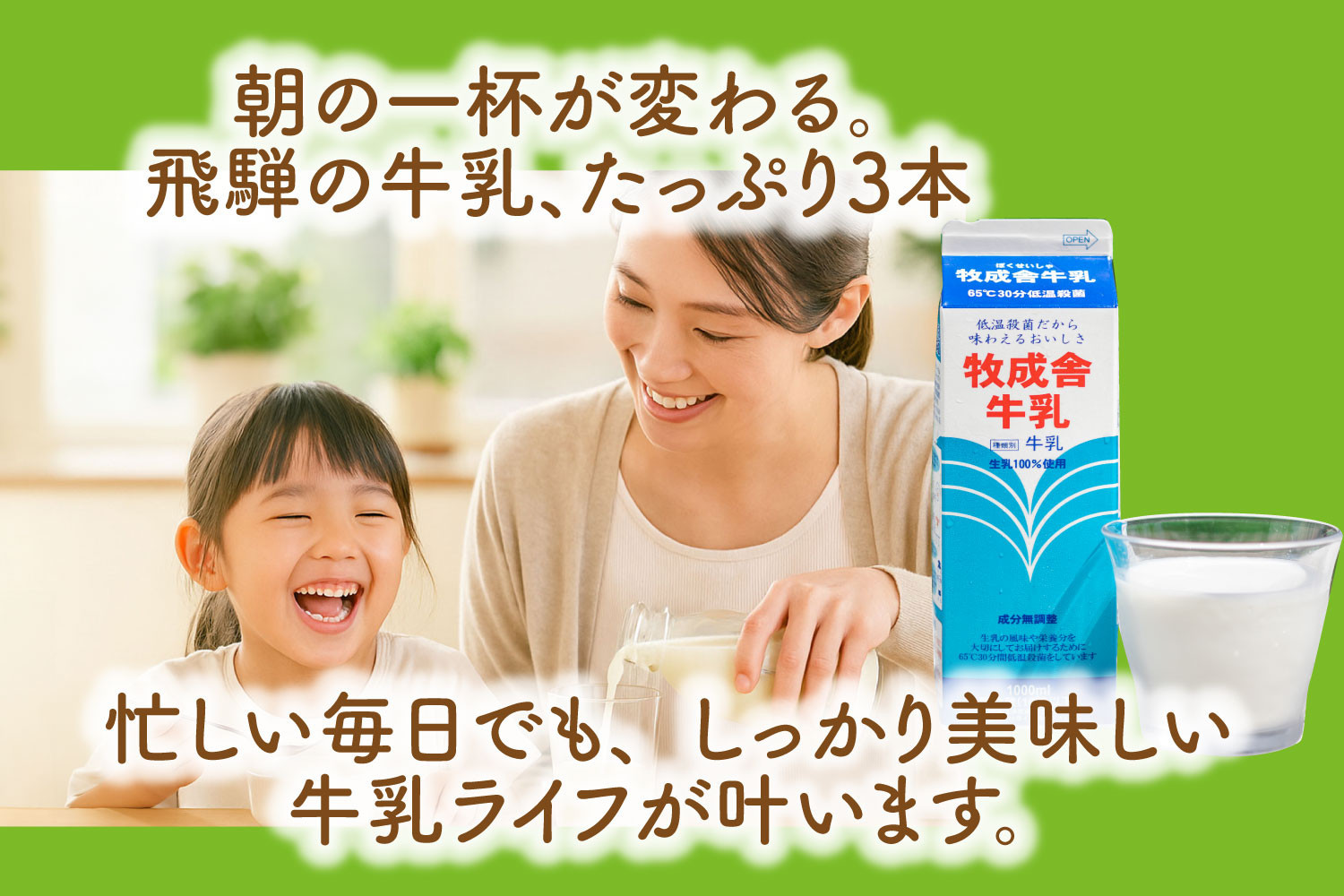 【定期6か月便】牧成舎牛乳1000ml×3本セット｜ミルク 乳製品 飲料 朝食 食生活 牧成舎 DF257