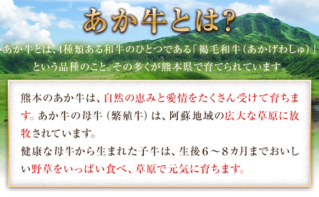 熊本県産あか牛ローストビーフ500g×1個 《2026年1月下旬-2月末頃出荷》 熊本県 菊池市 あか牛 赤牛 ローストビーフ