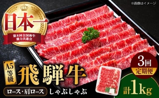 【3回定期便】【飛騨牛 しゃぶしゃぶ用】A5等級 ロース / 肩ロース 1kg 和牛 ブランド牛 国産 牛肉 多治見市 / 渡辺精肉店 [TAZ027]