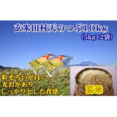 ふるさと納税 田村市 【玄米】 田村市産天のつぶ10kg(5kg×2袋)【令和7年産】