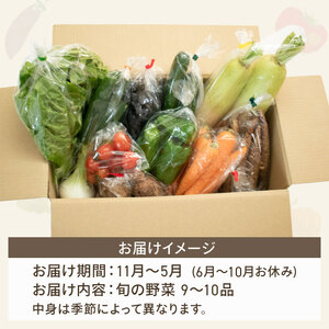 新鮮 野菜セット ( 9～10品 ) 季節の野菜