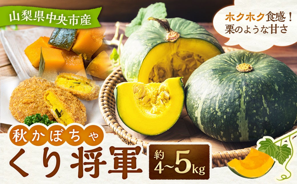 
                  【先行受付】 山梨県 中央市産 かぼちゃ 【くり将軍】 約4～5kg 栗将軍 南瓜 カボチャ 野菜 山梨県 中央市 【2026年10月上旬〜11月下旬発送予定】
                