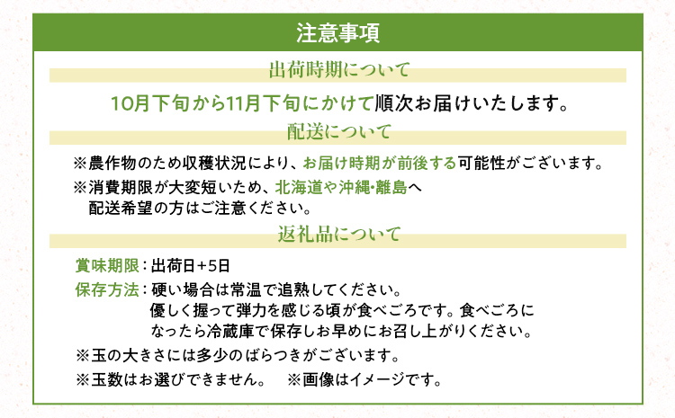 期間限定 福岡県産ブランドキウイ「甘うぃ」約1.5kg（12-15玉）美容 健康 ビタミンC キウイフルーツ 南国フルーツ CO014