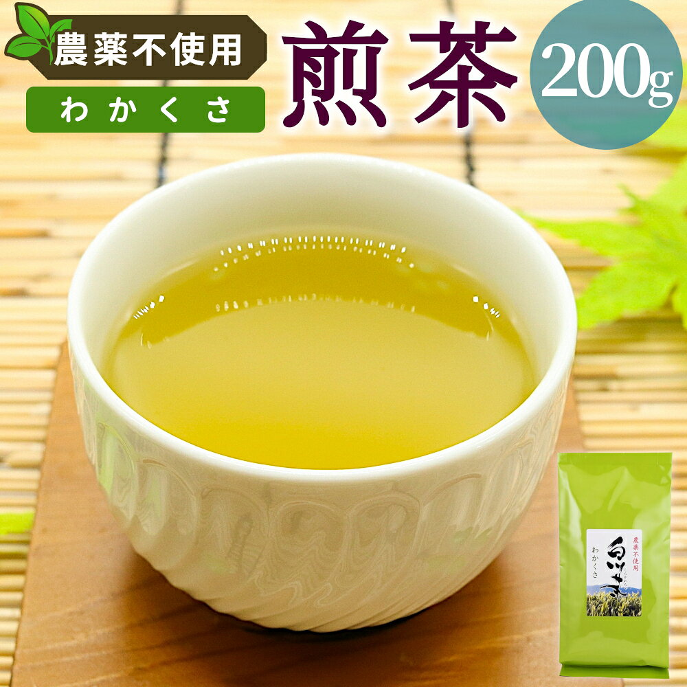 【ふるさと納税】農薬不使用！煎茶 わかくさ 200g 常磐園敬老の日 お茶 常磐園 みどり 日本茶 緑茶 煎茶 茶葉 白川茶 美濃白川茶 農薬不使用栽培茶 一番茶 春摘み 大容量 岐阜県 東白川村 お取り寄せ