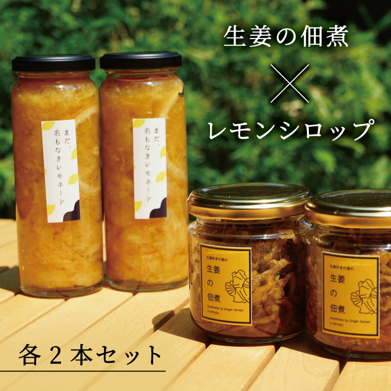 【ふるさと納税】レモンシロップと佃煮セット（各2個）