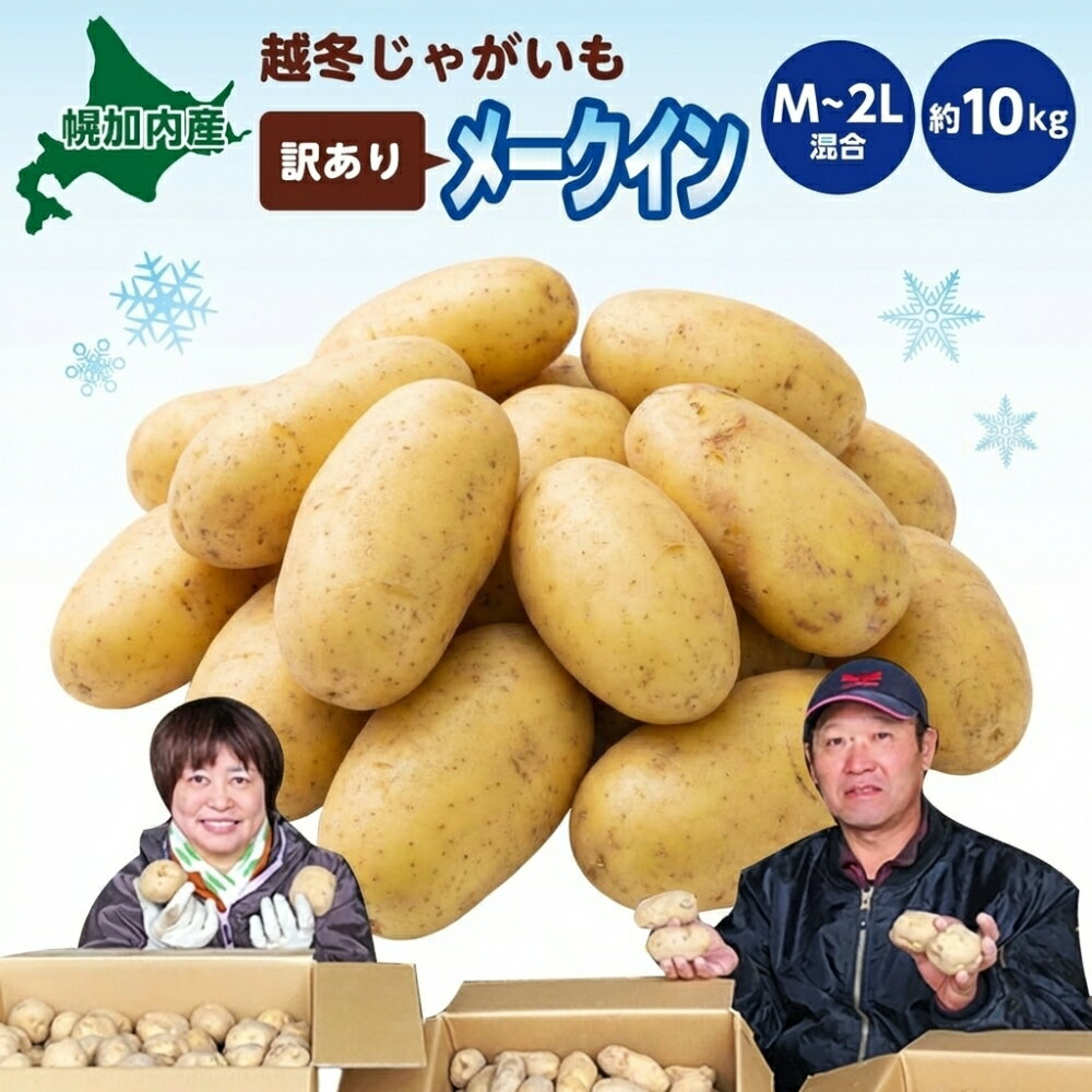 【ふるさと納税】北海道産 訳あり 越冬 じゃがいも メークイン M～2L 約10kg ジャガイモ 馬鈴薯 ポテト 芋 いも イモ 越冬 旬 冬 農作物 訳アリ 規格外 家庭用 北海道 お取り寄せ 産地直送 笠井ファーム 送料無料 幌加内