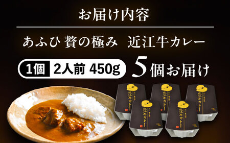 -あふひ 贅の極み- 近江牛カレー レトルト 2人前×5個セット / 恵那市 / テンポイント [AUEU018]
