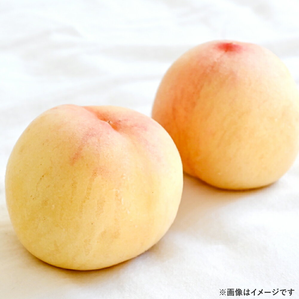 【ふるさと納税】＜選べる容量＞ 白桃 3玉入り（合計600g前後）6玉入り（合計1.2kg前後）桃 2025年 先行予約 もも モモ 岡山県産 国産 フルーツ 果物 くだもの ギフト デザート 岡山の桃 芳醇な香り【2025年7月上旬～8月上旬 発送予定】
