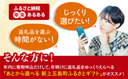 【あとから選べる】新上五島町ふるさとギフト 60万円分 和牛 五島うどん 鮮魚 海産物 年内発送 年内配送 あとから寄附 あとからギフト あとからセレクト 選べる寄付 選べるギフト あとから選べる 6