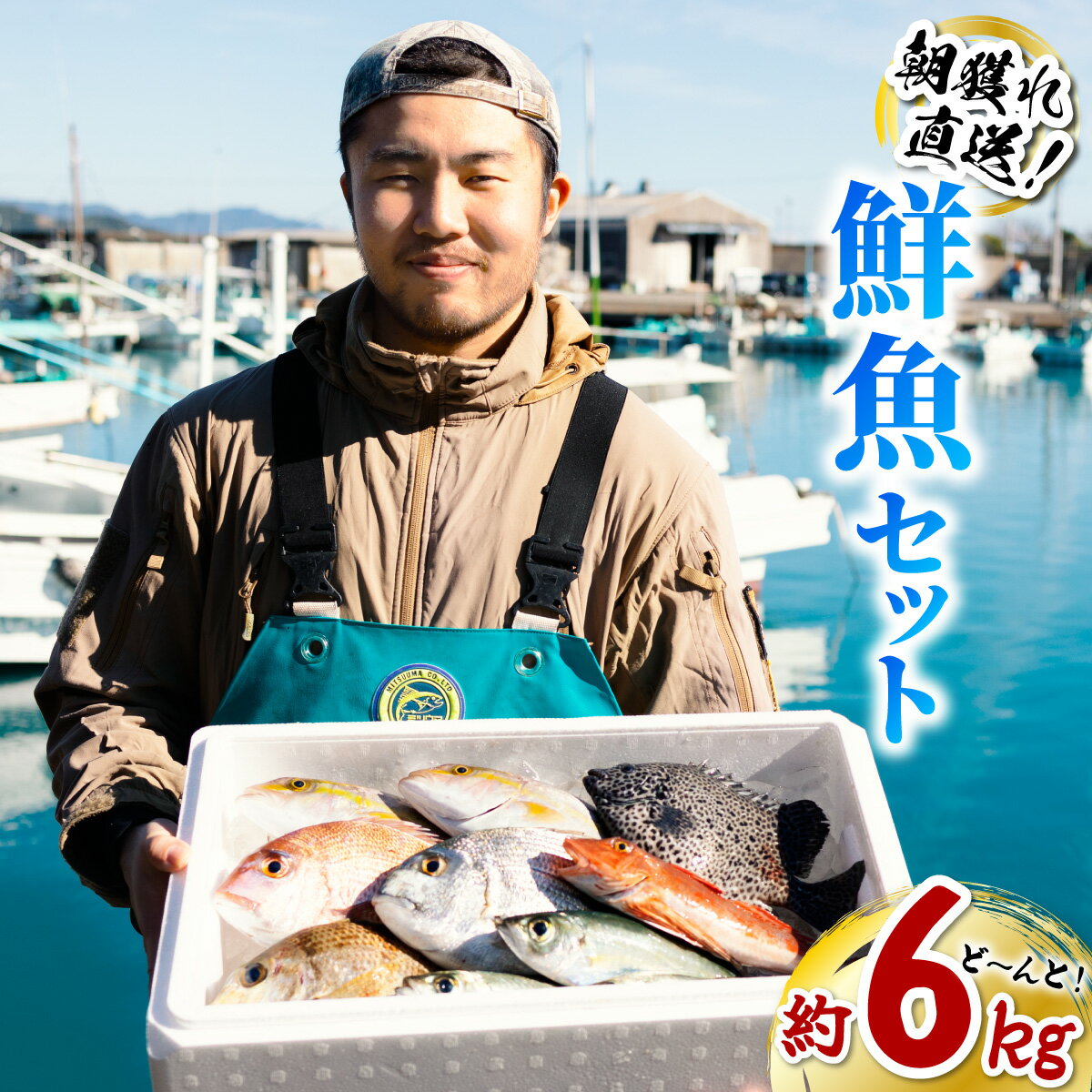 【ふるさと納税】 鮮魚 セット 約6kg 鮮魚セット 詰め合わせ 魚 海鮮 海の幸 朝獲れ とれとれ 新鮮 大容量
