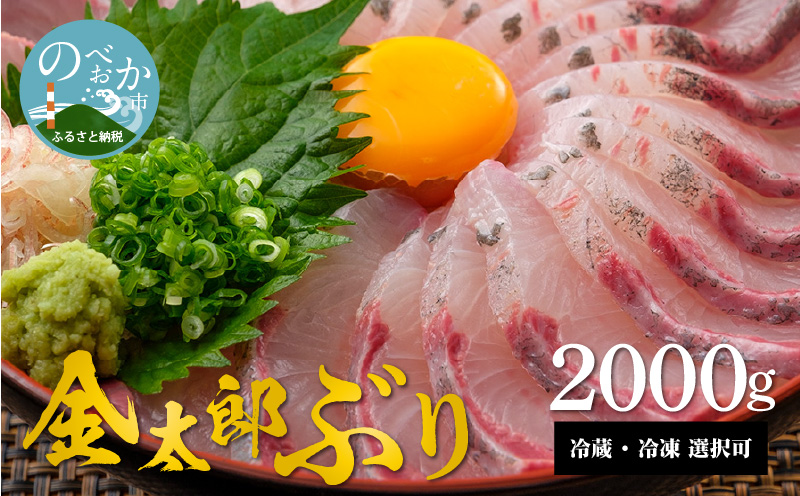 宮崎産 新海屋 鰤屋金太郎 金太郎ぶり 2000g　冷蔵 N018-YZB821_1