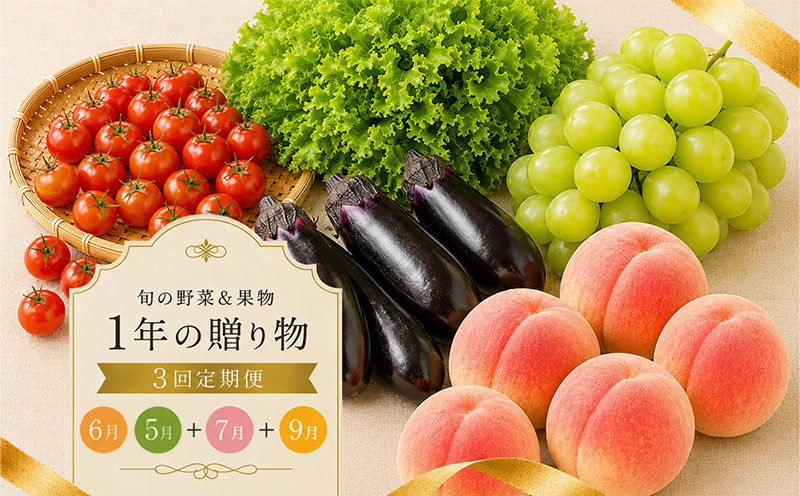 定期便 3回 シャインマスカット 桃 ぶどう 野菜 セット 旬の野菜 果物 フルーツ 旬 旬のフルーツ 贈答用 ギフト プレゼント 香川県 丸亀市 有機野菜&マスカット&桃（38,000円）