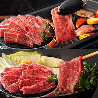 ふるさと納税 南関町 「熊本特産馬刺しとくまもと黒毛和牛」フジチクオリジナル贅沢食べ比べセット(南関町) |  | 02