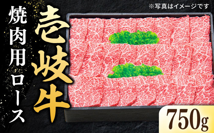 
特選 壱岐牛 ロース 750g（焼肉用）《壱岐市》【太陽商事】[JDL018] 肉 牛肉 肩ロース 赤身 焼肉 焼き肉 焼肉用 BBQ 50000 50000円 5万円 のし プレゼント ギフト
