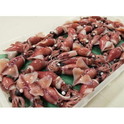 ふるさと納税 滑川市 カネツル砂子商店のボイルほたるいか　460g |  | 01