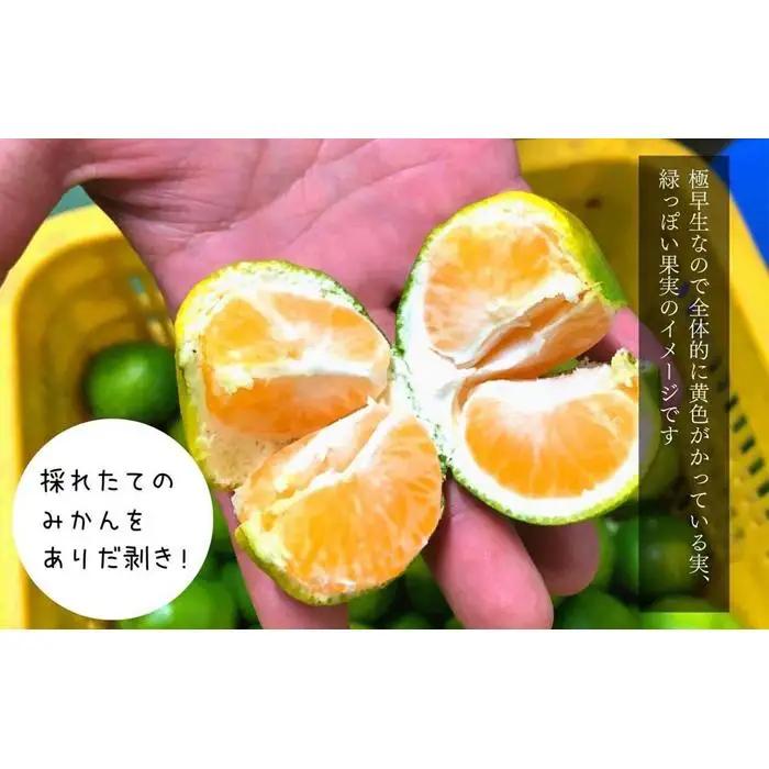 小玉みかん 極早生 箱込 2.5kg (内容量約 2.3kg)3S～Sサイズ混合 秀品 優品 混合 有田みかん 和歌山県産