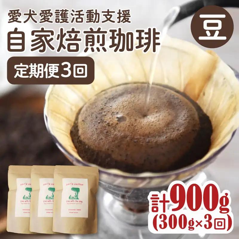 コーヒー豆 【定期便3か月】ann's cafe 100g×3種 コーヒー豆