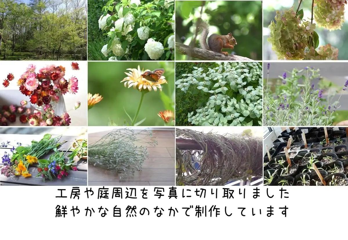 八ヶ岳　森のクリスマスリース（予約制） 【グリーンと木の実】 | Nature's工房-晶-