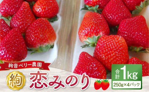 絢音ベリー農園 ”絢” 恋みのり いちご 1kg （250g×4パック） 苺 先行予約 熊本県 高級 フルーツ ギフト 厳選 【2024年12月上旬～2025年2月下旬発送予定】