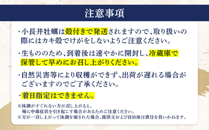 【2回定期便】長崎県諫早市小長井牡蠣(殻付きカキ)3kgカキナイフ付き / 牡蠣 かき　カキ 小長井牡蠣 貝 / 諫早市 / 諫早湾漁業協同組合 [AHBJ010]