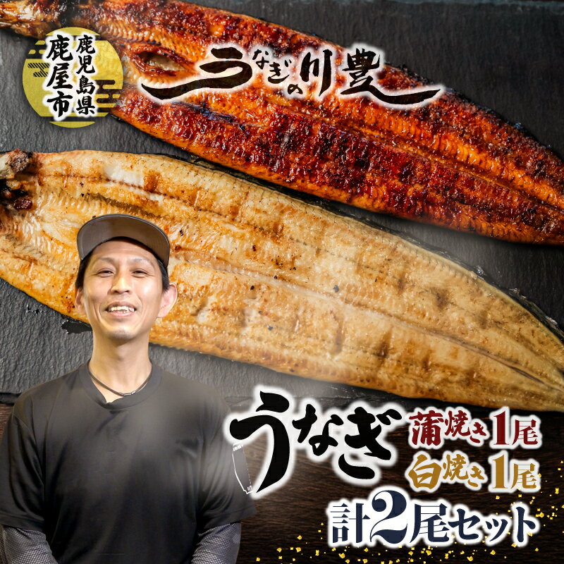 【ふるさと納税】＜国産＞ 昭和56年創業 うなぎの川豊 有頭 蒲焼き 1尾(約125g〜150g×1尾)・ 白焼1尾(約115g〜140g×1尾) 計2尾セット たれ 山椒 惣菜 総菜 冷凍 鰻重 ひつまぶし 魚 MNB 鹿児島 鹿屋市 おすすめ ランキング プレゼント ギフト