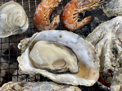 石川県七尾産 能登かき 殻付き 一斗缶（約80個） ※2026年12月～発送