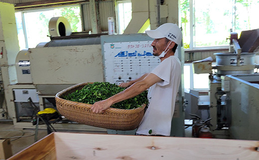 伊万里紅茶生産の様子