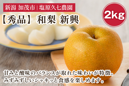 【2026年先行予約】新潟県産 和梨 新興 2kg 【秀品】《10月下旬～順次発送》 しんこう