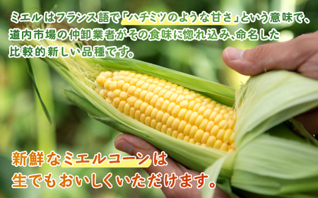 [先行受付]2026年産 スウィートコーン!「はちみつのような甘さのミエルコーン」11本【配送不可地域：離島】  BHRG004
