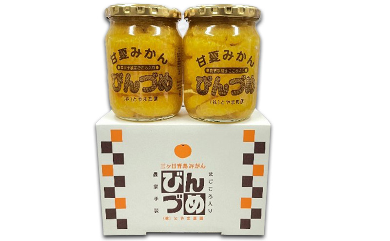 甘夏みかんびん詰め 小瓶2本セット（500g×2本セット）静岡 
