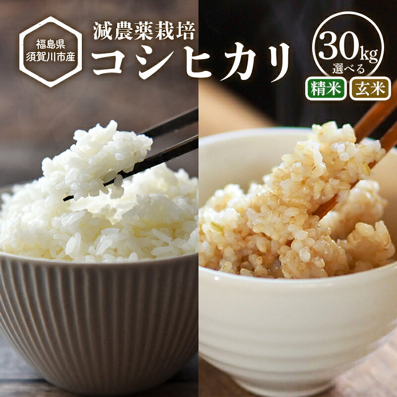 【ふるさと納税】【減農薬栽培】福島県須賀川市産 コシヒカリ精米/玄米 30kg 選べる種類 コシヒカリ 米 お米 ブランド米 銘柄米 備蓄 日本米 こしひかり コメ ごはん ご飯 食品 須賀川 福島 F7X-0858var