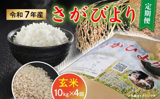 令和７年産 さがびより 玄米 定期便 10kg×4回【数量限定】 _f-94