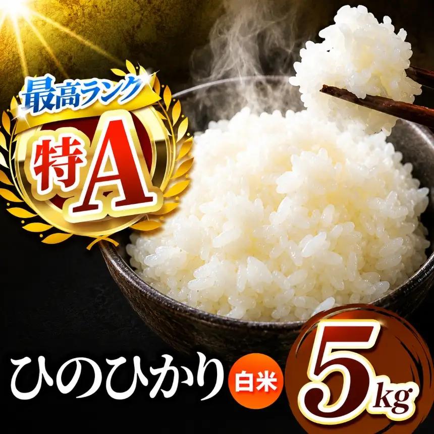 R7年産 熊本県産 ひのひかり 白米 5kg