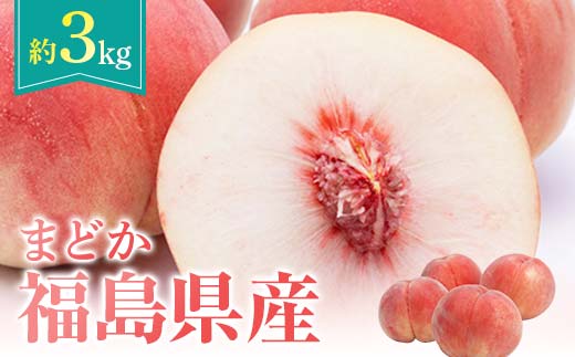 【2026年出荷分先行予約】福島県産 まどか 約3kg (7～12玉) 農業生産法人種まきうさぎ株式会社 大玉 固め 伊達の桃 桃 フルーツ 果物 もも モモ momo F20C-501