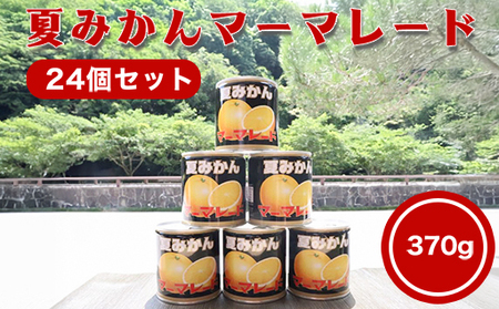 萩名産夏蜜柑／夏みかんマーマレード缶　24個｜HG0765-C