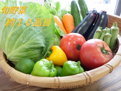 ＜京都産＞木津川市でとれた野菜詰め合わせを１２か月毎月送ります！　038-01