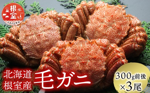 B-21005 【北海道根室産】毛がに300g前後×3尾