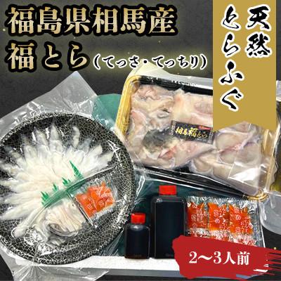 ふるさと納税 相馬市 【常磐もの新名物!福とら】 天然とらふぐ てっさ てっちり鍋セット 2-3人前 ふぐ刺し ふぐちり