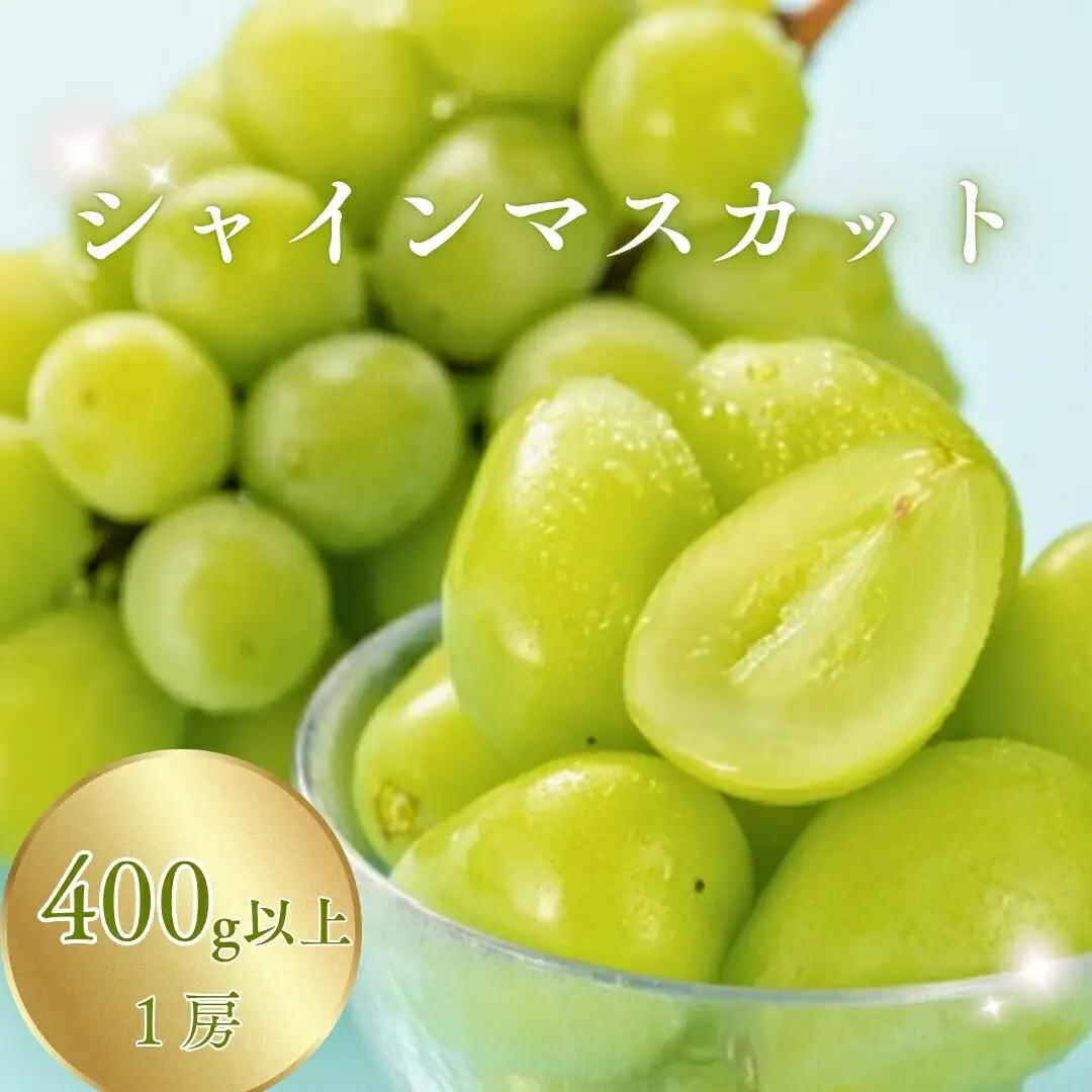 シャインマスカット 400g以上(1房) | シャインマスカット