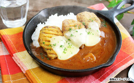 【小分け】日本ハム レストラン仕様カレー辛口10パックセット(1パック4袋入り)計40食分 / カレー かれー レトルト 牛肉 小分け / 諫早市 / 日本ハムマーケティング株式会社 [AHAL002